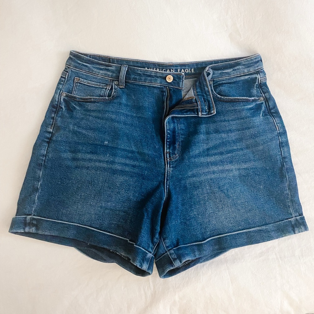 American Eagle Outfitters Plus Size Women's Denim Shorts